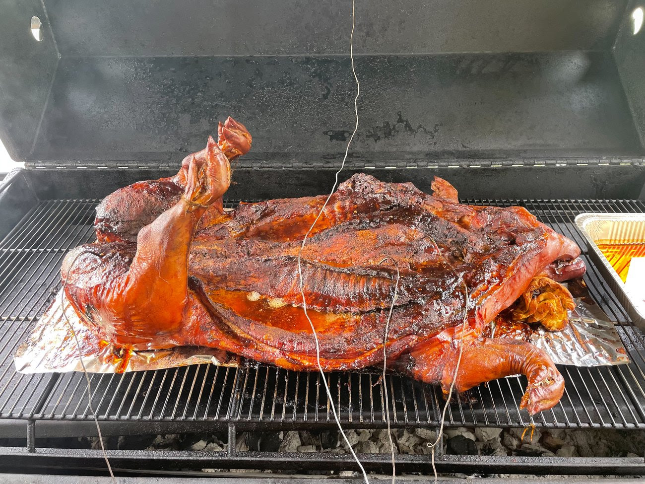 2025 Pinecraft Barbecue Anniversary Party Whole Pig Roast on Meadow Creek PR72T Pig Roaster